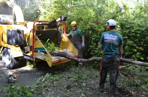 tree services West Peoria